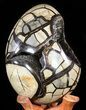 Huge, Septarian Dragon Egg Geode - Crystal Filled #50824-2